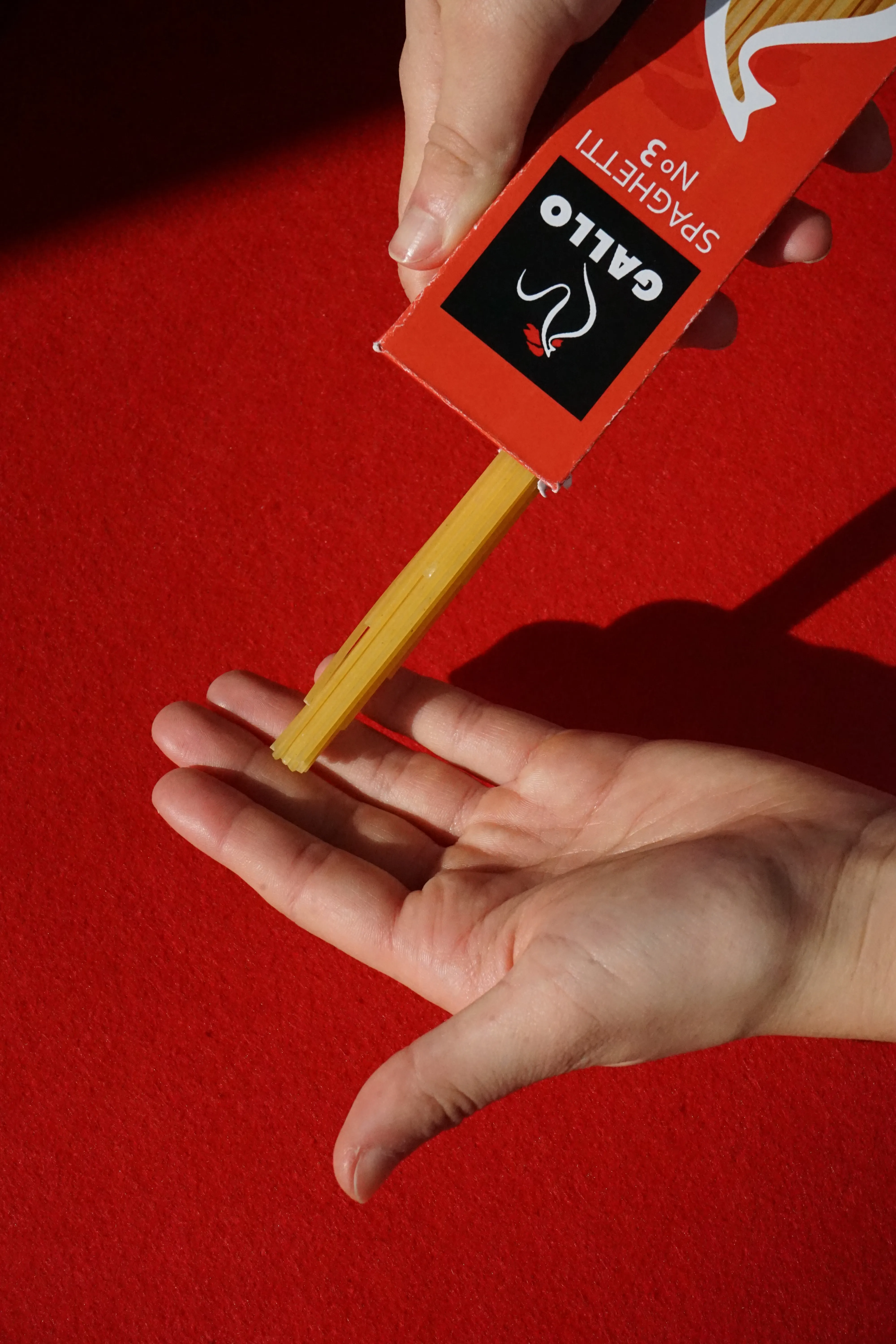 Fotografia de producto para universidad - Imagen 5