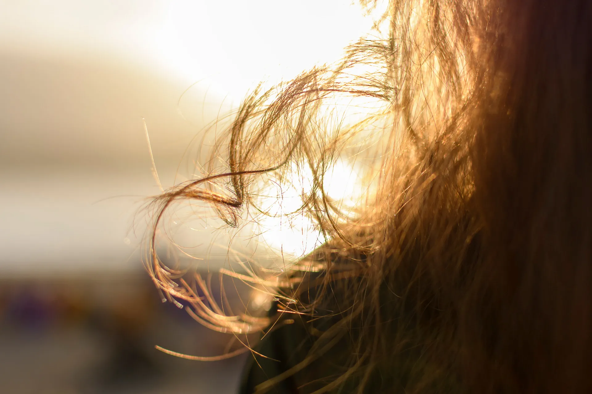 Fotografía Terapéutica