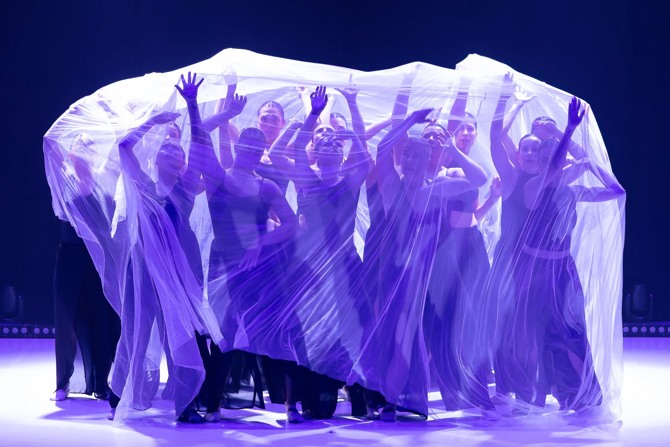 Ballet Jove Navarcles - Image 3