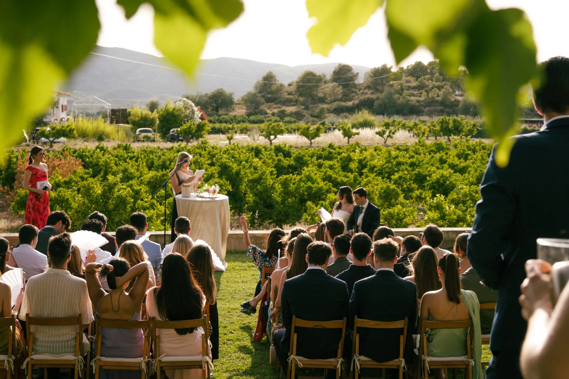 Bodas