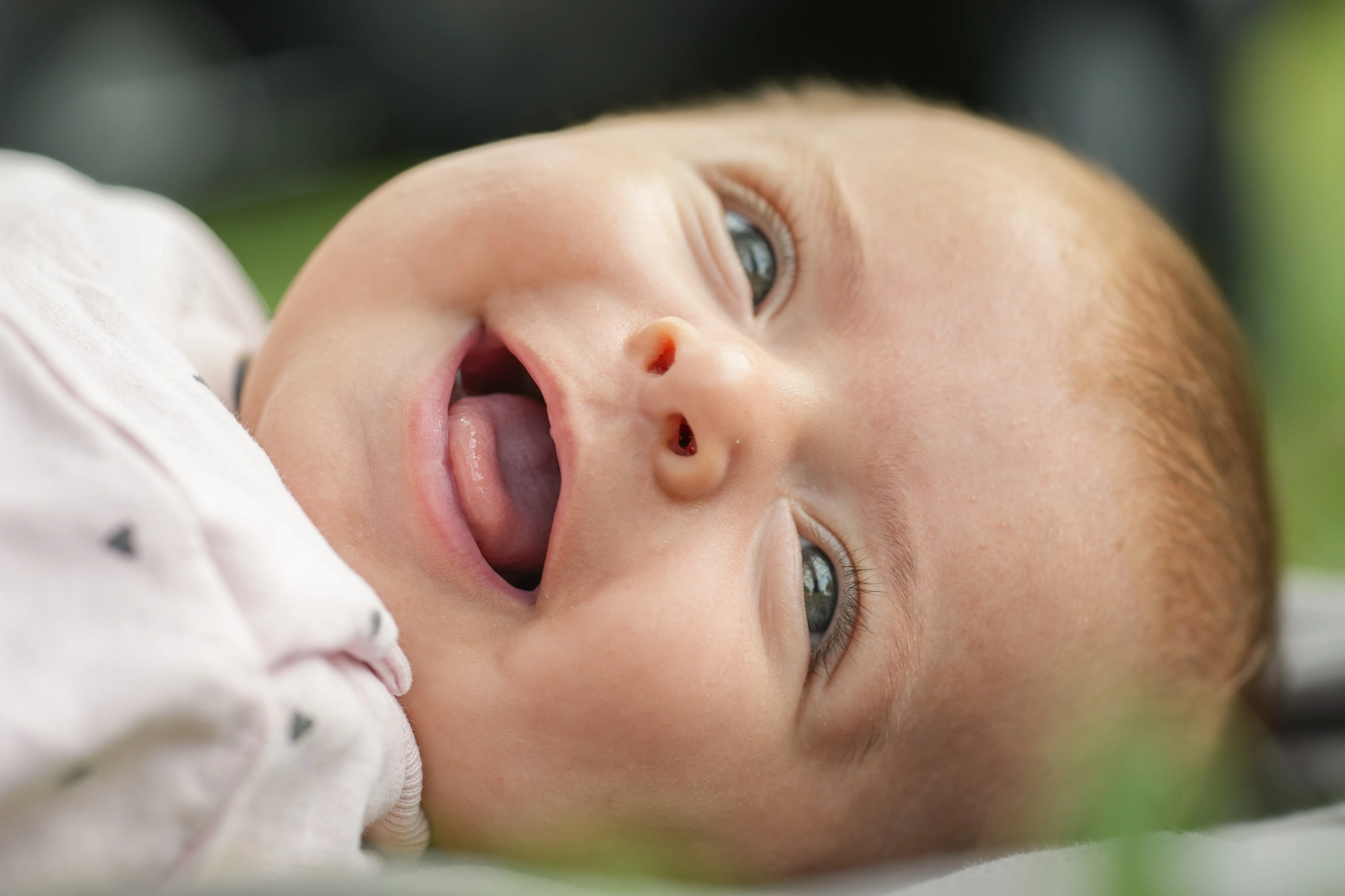 Fotógrafo de bebés - Image 3